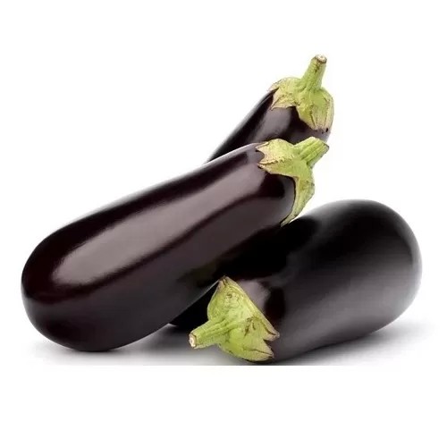 BERINJELA KG